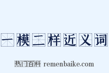 一模二样近义词是什么意思的图片